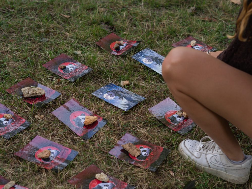 activité loup garou